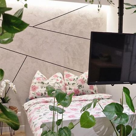 בוצ'ניה Magic House Apartament Proszowska 58 II מראה חיצוני תמונה