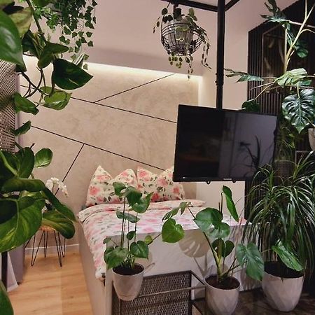 בוצ'ניה Magic House Apartament Proszowska 58 II מראה חיצוני תמונה