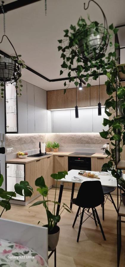 בוצ'ניה Magic House Apartament Proszowska 58 II מראה חיצוני תמונה