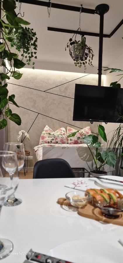 בוצ'ניה Magic House Apartament Proszowska 58 II מראה חיצוני תמונה