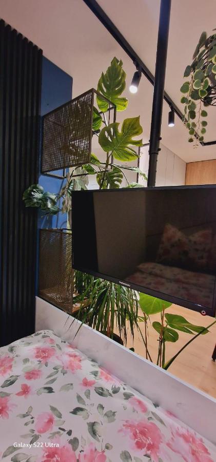 בוצ'ניה Magic House Apartament Proszowska 58 II מראה חיצוני תמונה