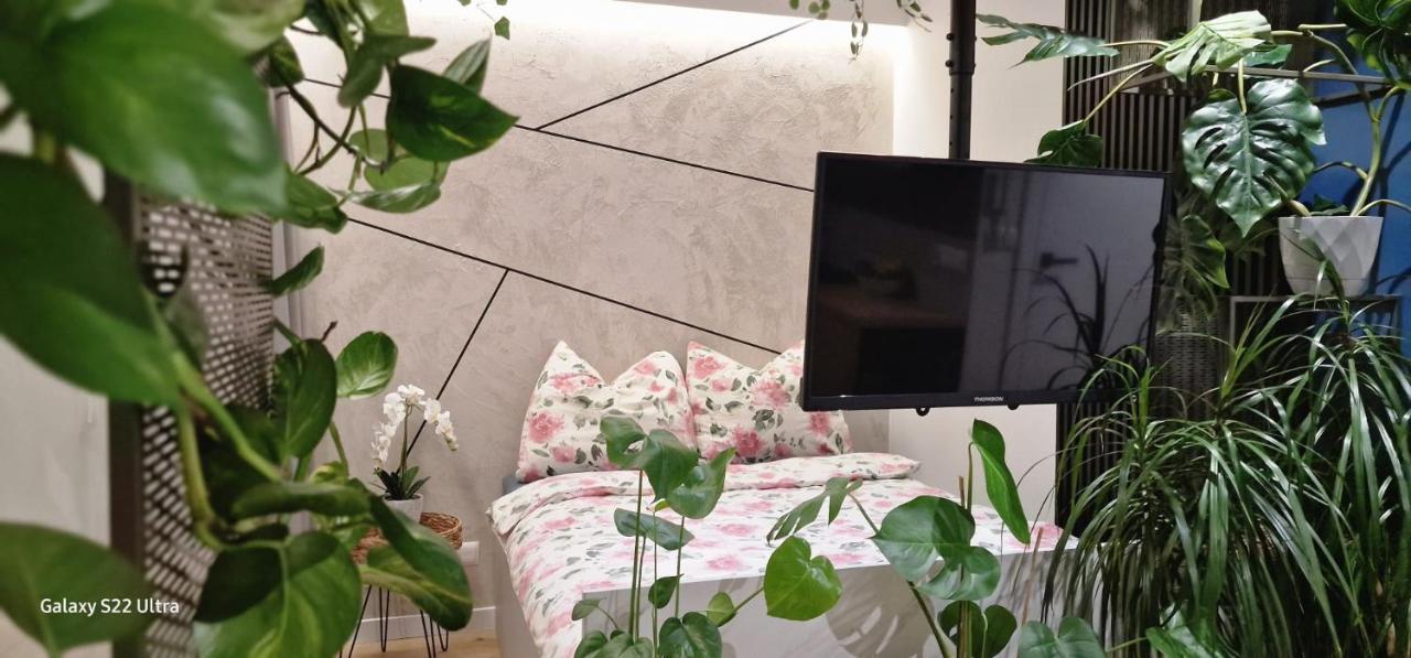 בוצ'ניה Magic House Apartament Proszowska 58 II מראה חיצוני תמונה